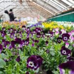 Horticultural Jobs